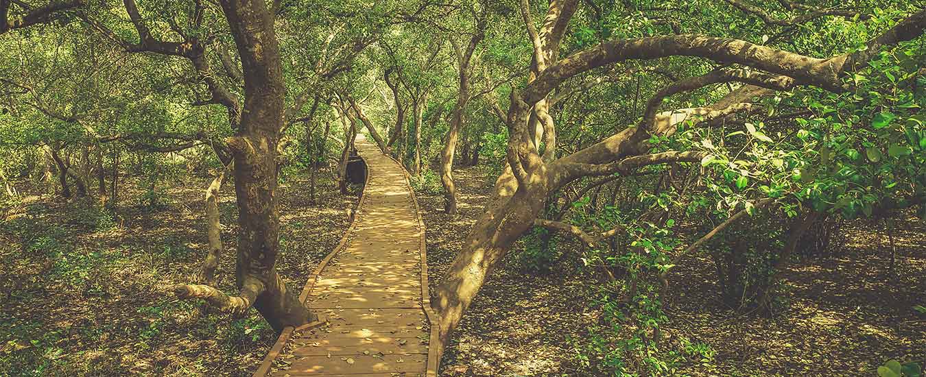 Coringa Wildlife Sanctuary